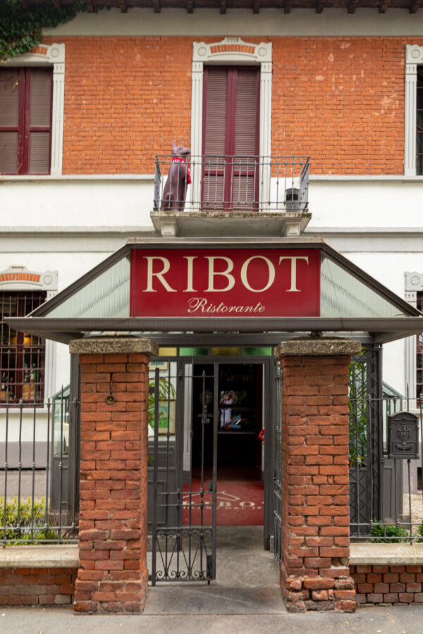 Ribot - Ribot